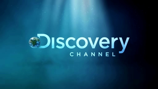 Neues Discovery-Design