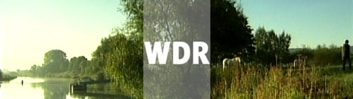 Logo: WDR