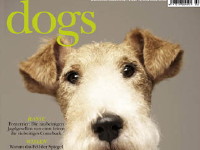 Foto: Cover Foto: Cover