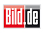 Logo: Springer