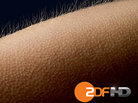 ZDF HD