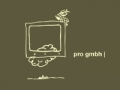Pro GmbH