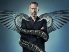 Dr. House