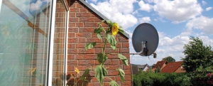 Satellitensch�ssel