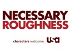 Necessary Roughness Logo Necessary Roughness Logo