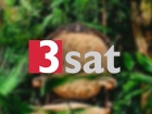3sat