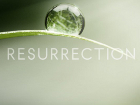 Resurrection Logo