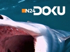 N24 Doku