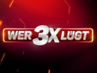 Wer 3x lügt Wer 3x lügt
