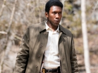 True Detective True Detective