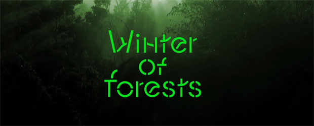 Winter of Forests