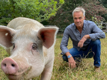 Hannes Jaenicke: Im Einsatz für das Schwein Hannes Jaenicke: Im Einsatz für das Schwein