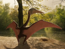 Terra X: Die letzten Stunden der Dinosaurier Terra X: Die letzten Stunden der Dinosaurier