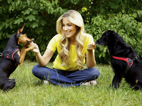 Der Hundetrainer-Champion Der Hundetrainer-Champion