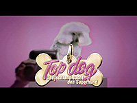 Logo: VOX