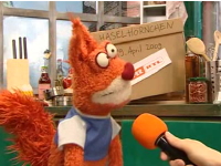 Haselhörnchen