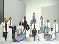 Greys Anatomy Staffel 5