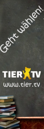 Tier TV Banner