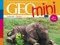 GEOmini