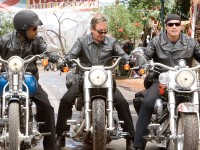 Born to be wild