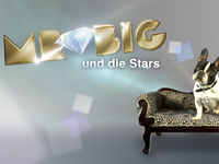 Mr. Big und die Stars