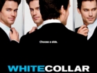 White Collar Logo