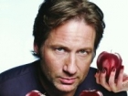 Californication - David Duchovny