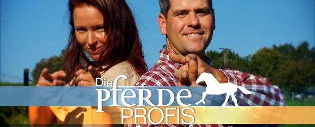 Die Pferdeprofis