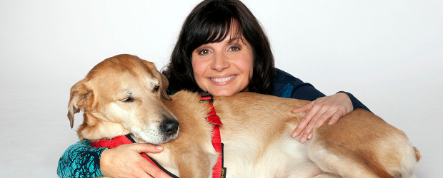 Tiere Suchen Ein Zuhause Neues Konzept Ab Mai Dwdl De
