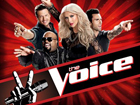 The Voice Logo