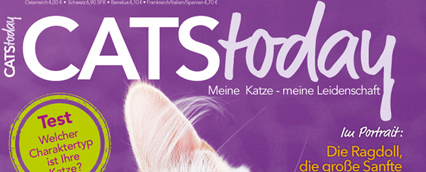 Cats Today