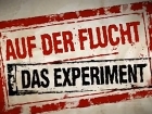Auf der Flucht - Das Experiment