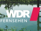 WDR Fernsehen