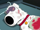 Brian Griffin