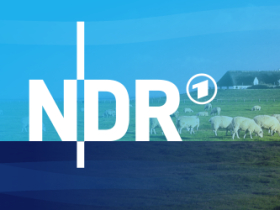 NDR