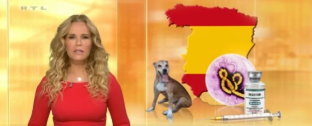 Punkt 12 mit falscher Spanien-Karte