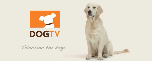 DOGTV