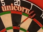 Darts-WM