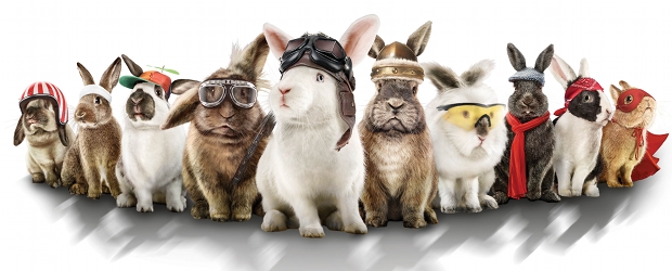 Rtl Werbung Hase