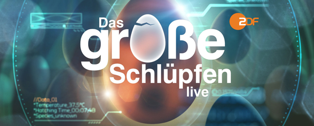 Das große Schlüpfen