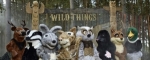 Wild Things