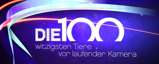 Die 100 witzigsten Tiere vor laufender Kamera