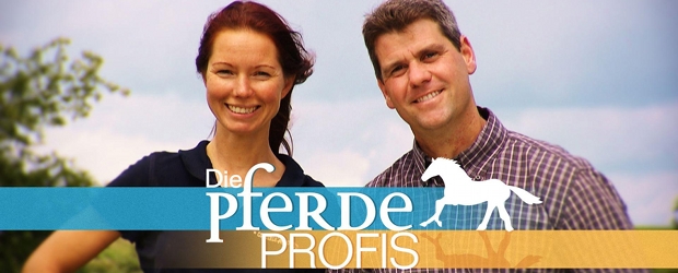 Die Pferdeprofis