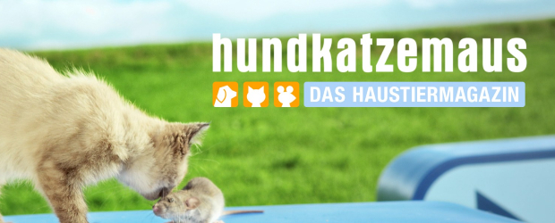 hundkatzemaus