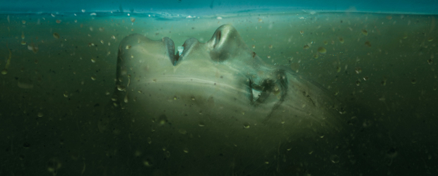 Absentia