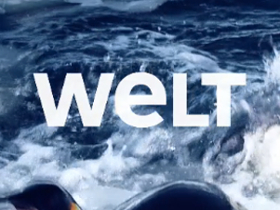 Welt