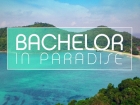 Bachelor in Paradise