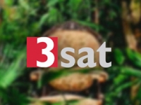 3sat