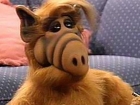 Alf