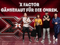X Factor X Factor
